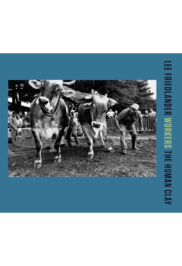 Lee Friedlander: The People's Pictures: Friedlander, Lee